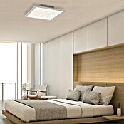 Briloner LED-Panel Sternenhimmel (36 W, L x B x H: 59,6 x 59,6 x 6 cm, Weiß, Kaltweiß) | BAUHAUS