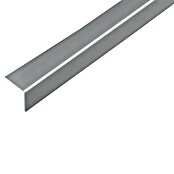 Alberts Perfil angular (2.600 x 30 x 30 mm, Espesor: 1,5 mm, Plástico, Gris metalizado) | BAUHAUS