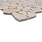Mozaik pločica (30,5 x 30,5 cm, Beige, Polirano)