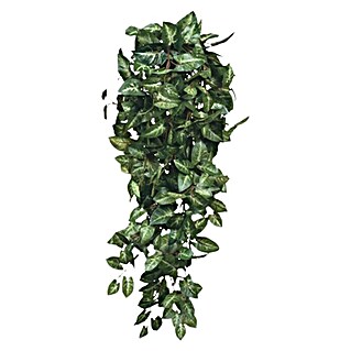 Planta artificial Fittonia (Altura: 180 cm, Verde, Plástico)