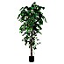 Planta artificial Ficus benjamina 