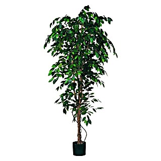Planta artificial Ficus benjamina (Altura: 210 cm, Verde, Plástico)