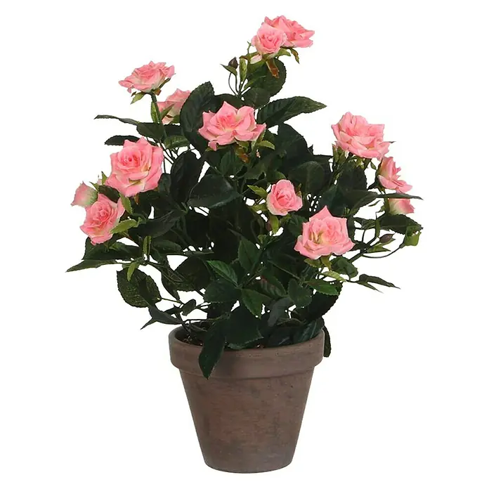 Flor artificial Rosas - Altura: 33 cm, Rosa, Plástico - Primer plano de una planta en maceta con flores de rosas rosas y hojas de color verde oscuro sobre un fondo negro.