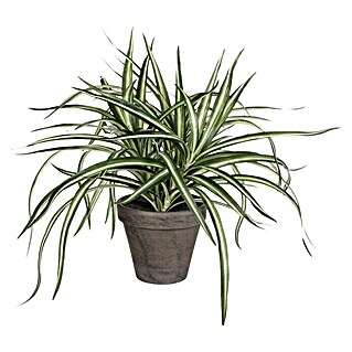 Umjetna biljka (Visina: 43 cm, Zelene boje, Plastika)