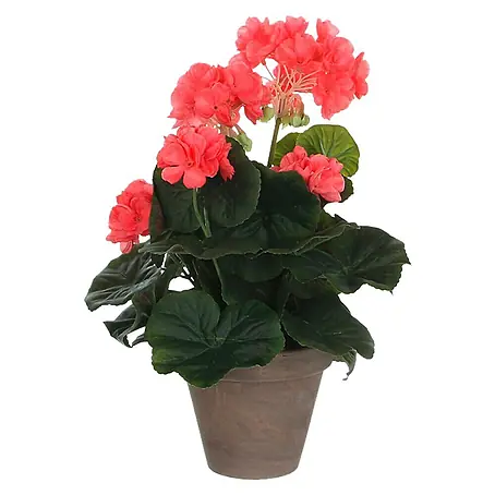 Planta artificial Geranio
