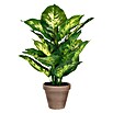 Kunstpflanze Dieffenbachia (Höhe: 40 cm, Grün, Kunststoff) | BAUHAUS