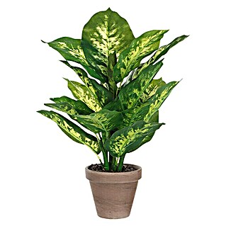 Planta artificial Dieffenbachia (Altura: 40 cm, Verde, Plástico)