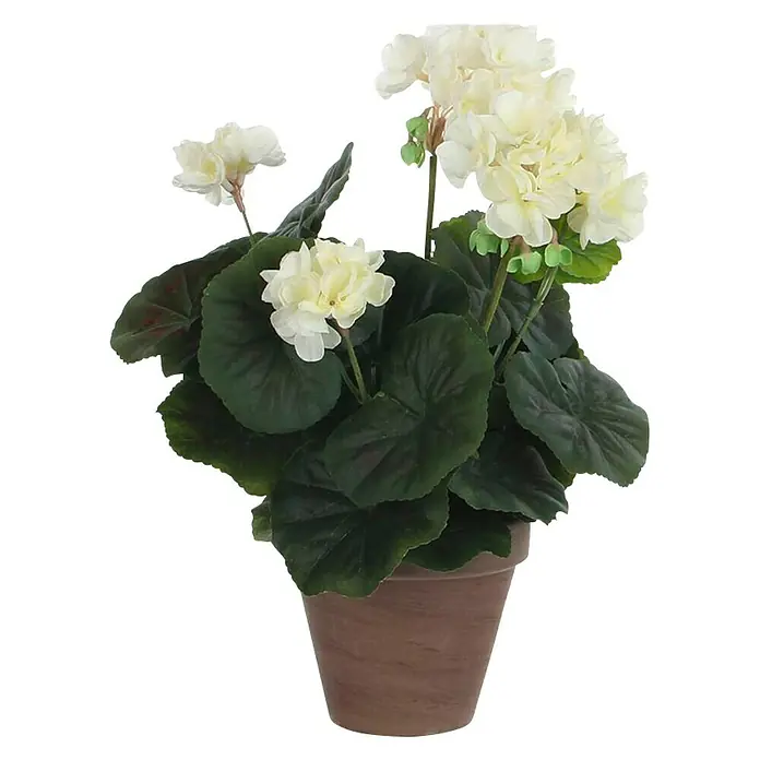 Planta artificial Geranio - Altura: 34 cm, Blanco, Plástico - Planta en maceta con flores de geranio blancas y exuberantes hojas verdes, perfecta para la decoración de interiores.
