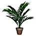 Kunstpflanze Areca Palme 