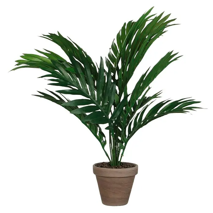Planta artificial Areca Palme - Altura: 45 cm, Verde, Plástico - Planta en maceta con hojas verdes en una maceta marrón. Planta de interior decorativa para un ambiente acogedor.