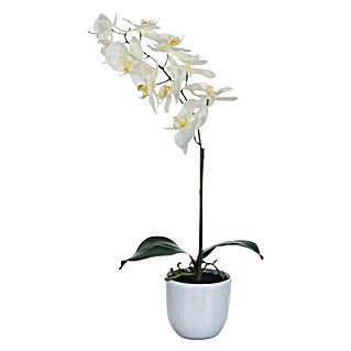 Planta artificial Orquídea (Altura: 60 cm, Blanco, Plástico)