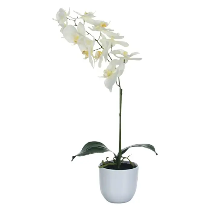 Flor artificial Orquídea - Altura: 60 cm, Blanco, Plástico - Elegante orquídea blanca en una maceta blanca a juego, perfecta como decoración elegante para cualquier habitación.
