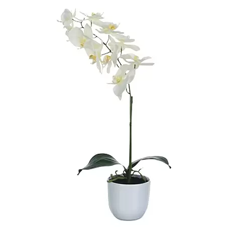 Kunstpflanze Phalaenopsis