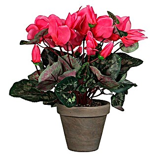 Planta artificial Cyclamen (Altura: 30 cm, Rosa, Plástico)