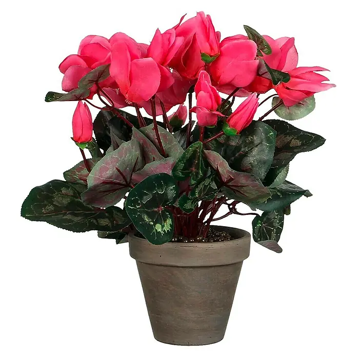 Kunstblume Cyclamen - Höhe: 30 cm, Rosa, Kunststoff - Dekorative Zimmerpflanze mit rosa Blüten und grünen Blättern in einem Topf. Ideal für die Fensterbank oder als Tischdekoration.