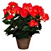 Flor artificial Begonia 