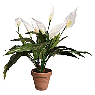 Kunstpflanze Spathiphyllum (Höhe: 50 cm, Weiß, Kunststoff)