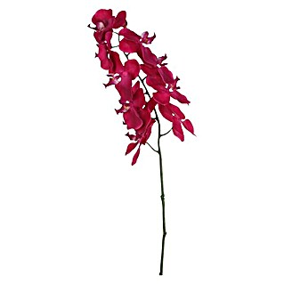 Kunstblume Orchidee (Höhe: 71 cm, Lila, Kunststoff)