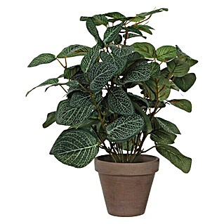 Planta artificial Pilea (Altura: 35 cm, Verde, Plástico)