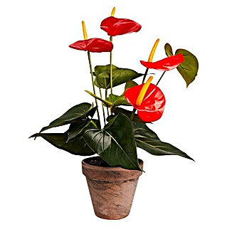 Umjetna biljka Anturij (Visina: 40 cm, Crvene boje, Plastika)