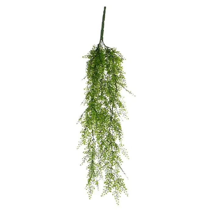 eiben mulchen Taxus baccata