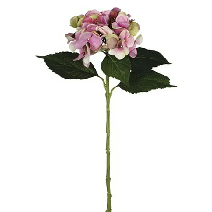 Kunstblume Hortensie - Höhe: 51 cm, Rosa, Kunststoff - Nahaufnahme einer einzelnen rosa Hortensienblüte mit grünen Blättern an einem langen grünen Stiel, isoliert auf Weiß.
