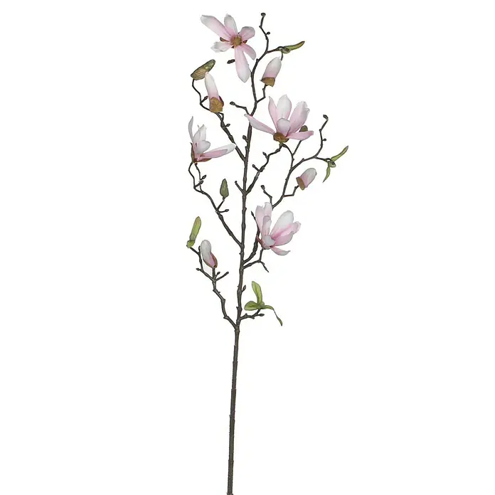 Flor artificial Magnolia - Altura: 75 cm, Rosa, Plástico - Elegante flor de magnolia: delicada rama de magnolia con flores y brotes rosados, perfecta para decoraciones elegantes y arreglos florales.
