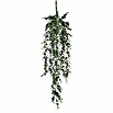 EUKALYPTUS HAENGEND GRUEN L78CM