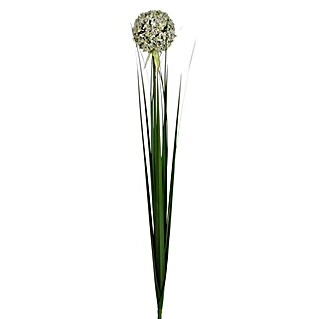 Flor artificial Allium (Altura: 80 cm, Blanco, Plástico)