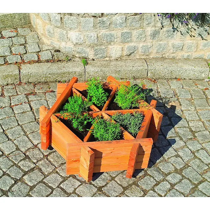 Promadino Kräuterhochbeet Eva - 76 x 72 x 27 cm, Honigbraun - Ein sechseckiger, erhöhter Pflanzkasten aus Holz mit vier grünen Pflanzen darauf, der auf Pflastersteinen steht.