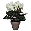 Kunstblume Cyclamen (Höhe: 30 cm, Weiß, Kunststoff) | BAUHAUS