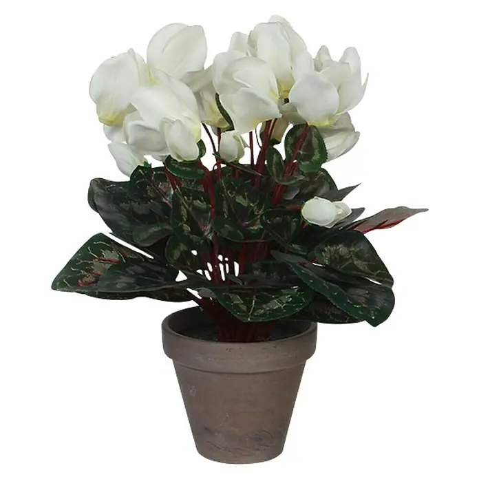 Flor artificial Cyclamen - Altura: 30 cm, Blanco, Plástico - Una planta de interior con flores blancas y hojas de color verde oscuro, en una maceta gris. Ideal para la decoración de interiores y oficinas.