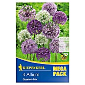 ALLIUM MIX 4 SORTEN 4 STÜCK