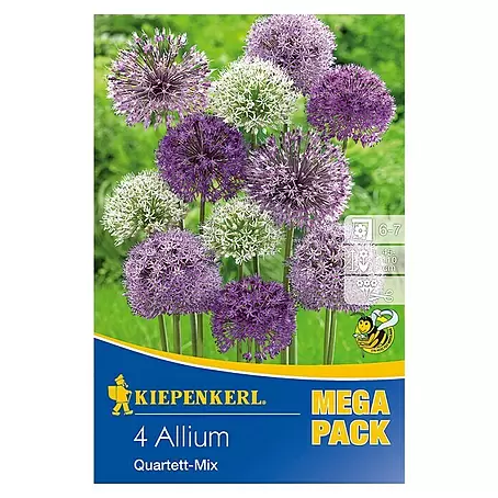 Kiepenkerl  Frühlingsblumenzwiebeln Zierlauch 'Quartett-Mix'