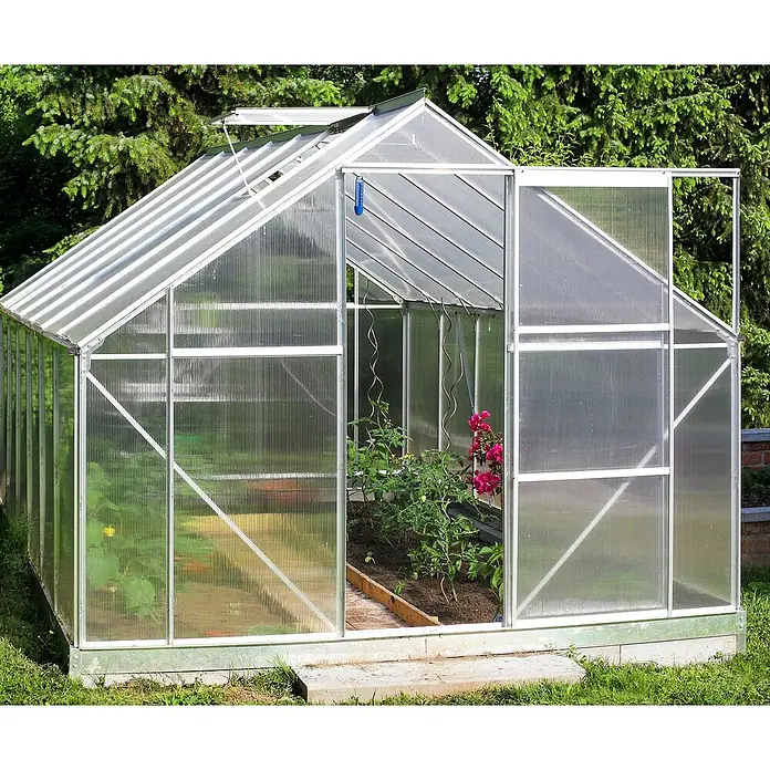 Hohlkammerplatte ECO-UV - 1.200 x 800 x 4 mm, Polycarbonat, Transparent - Gewächshaus mit geöffneter Tür, Pflanzen im Inneren. Ideal für Gartenliebhaber, die ihre eigenen Pflanzen ziehen möchten.