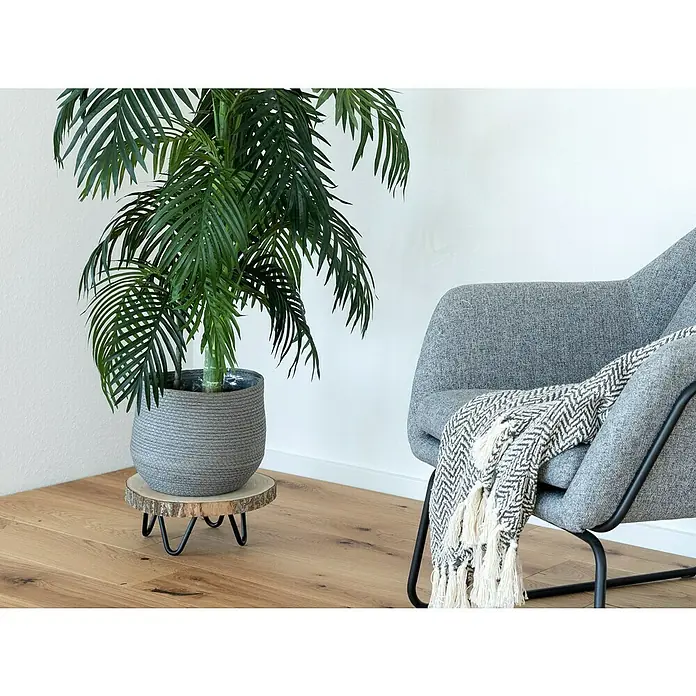 Wagner System Möbelfuß Hairpinlegs - Stahl, Höhe: 10 cm, Schwarz - Zimmer mit Topfpflanze auf einem Holzständer und grauem Sessel mit Decke.