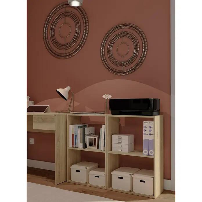 Muebles Pitarch Tibet Estantería de madera - Al x An x Pr: 75 x 50 x 24,5 cm, Número de baldas: 2 ud., Atornillado, Roble Cambrian - Primer plano de una estantería de madera clara con varios artículos como libros, cajas de almacenamiento y una impresora.