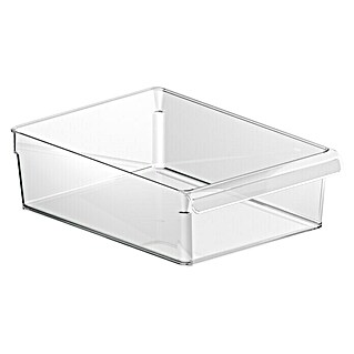 Rotho Aufbewahrungsbox Loft (L x B x H: 31 x 22 x 9 cm, Kunststoff, Transparent)