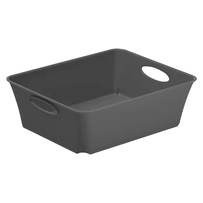 Rotho Aufbewahrungsbox Living - L x B x H: 18,6 x 15,1 x 6 cm, Kunststoff, Anthrazit - Grauer Organizer-Behälter mit Griffen für eine ordentliche Aufbewahrung von Gegenständen im Haushalt oder Büro. Praktisch und robust.