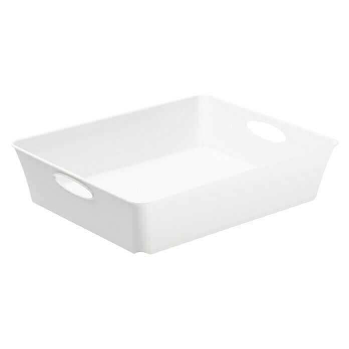 Rotho Aufbewahrungsbox Living (L x B x H: 26,4 x 21,2 x 6 cm, Kunststoff, Weiß) | BAUHAUS