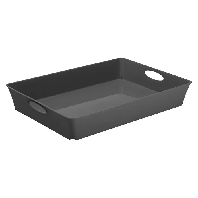 Rotho Aufbewahrungsbox Living - L x B x H: 37,5 x 27 x 6 cm, Kunststoff, Anthrazit - Ein grauer rechteckiger Organizer-Behälter mit Griffen, ideal für die Aufbewahrung im Haushalt und Büro, präsentiert auf schwarzem Hintergrund.