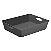 Rotho Aufbewahrungsbox Living (L x B x H: 26,4 x 21,2 x 6 cm, Kunststoff, Anthrazit) | BAUHAUS