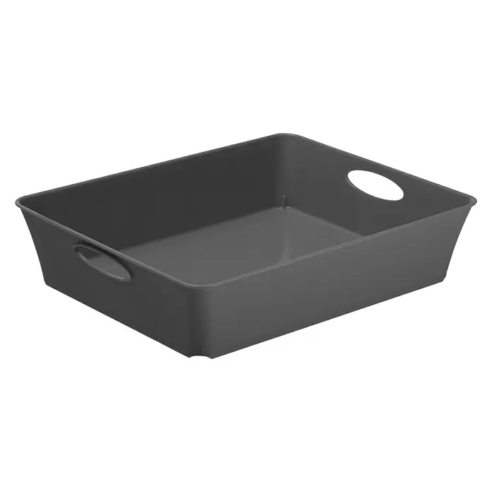 Rotho Aufbewahrungsbox Living - L x B x H: 26,4 x 21,2 x 6 cm, Kunststoff, Anthrazit - Graue Aufbewahrungsbox aus Kunststoff mit Griffen zur einfachen Organisation von Gegenständen in Ihrem Zuhause oder Büro.