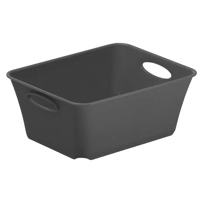 Rotho Aufbewahrungsbox Living - L x B x H: 14,6 x 11,4 x 6 cm, Kunststoff, Anthrazit - Aufnahme eines grauen, rechteckigen Kunststoffbehälters mit Griffen zur einfachen Aufbewahrung und Organisation von Gegenständen.