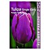 Kapiteyn Bulbos de primavera Tulipán purple prince 