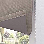 Expo Ambiente Zatemnitveni rolo Nicole  (Š x V: 60 x 190 cm) | 6443 - Textil-Rollos | HDDA - Fenster-Sonnenschutz | HDD - Sonnenschutz | HD - Ambiente | H - Innendeko/Farben | BAUHAUS