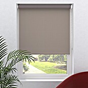 Expo Ambiente Zatemnitveni rolo Nicole  (Š x V: 60 x 190 cm) | 6443 - Textil-Rollos | HDDA - Fenster-Sonnenschutz | HDD - Sonnenschutz | HD - Ambiente | H - Innendeko/Farben | BAUHAUS