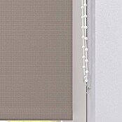 Expo Ambiente Zatemnitveni rolo Nicole  (Š x V: 60 x 190 cm) | 6443 - Textil-Rollos | HDDA - Fenster-Sonnenschutz | HDD - Sonnenschutz | HD - Ambiente | H - Innendeko/Farben | BAUHAUS