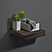 Dolle Wandboard Big Boy (L x B x H: 90 x 25 x 5 cm, Mocca, Belastbarkeit: 30 kg) | BAUHAUS