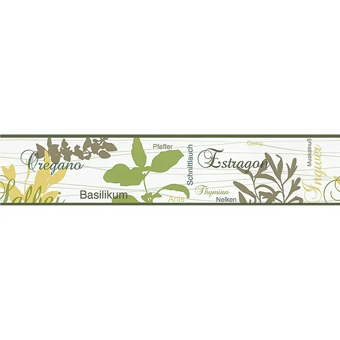 A.S. Création Only Borders 11 Tapetenborte - Kunststoff, Kräuter grün - Kräuter und Gewürze mit den Namen Oregano, Salbei, Basilikum, Pfeffer, Anis, Schnittlauch, Estragon, Thymian, Nelken, Curry, Muskatnuss und Ingwer.